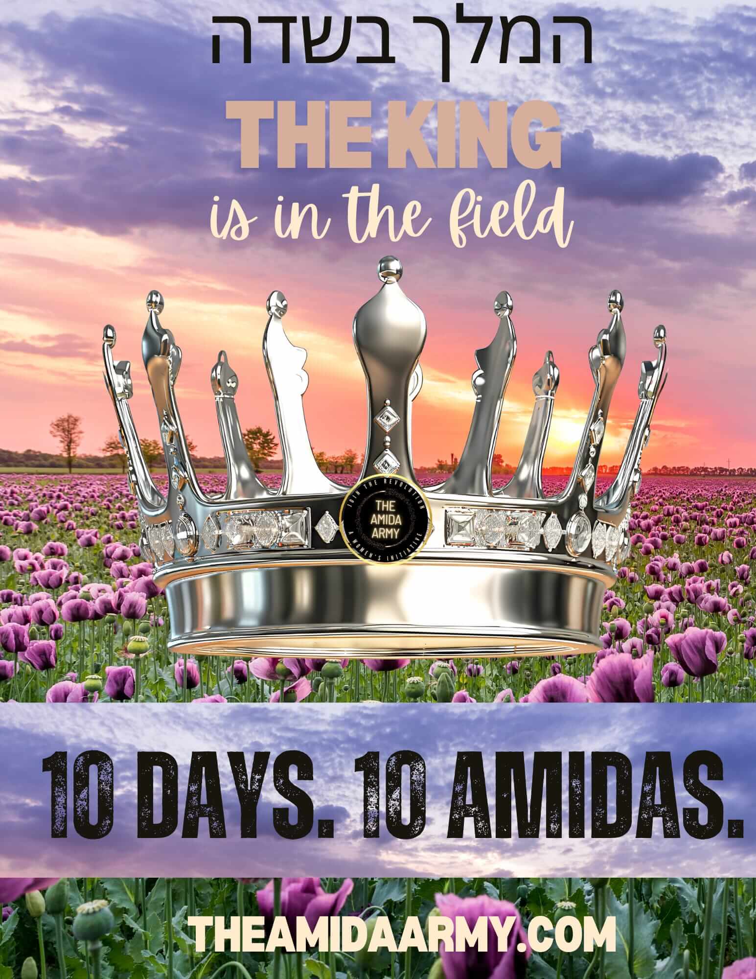 Flier for The King is in the Field: 10 Days, 10 Amidas, 2024 initiative